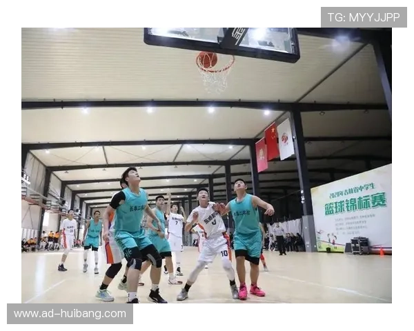 篮球力量榜单揭晓上海篮球队荣获第三名展现强劲实力